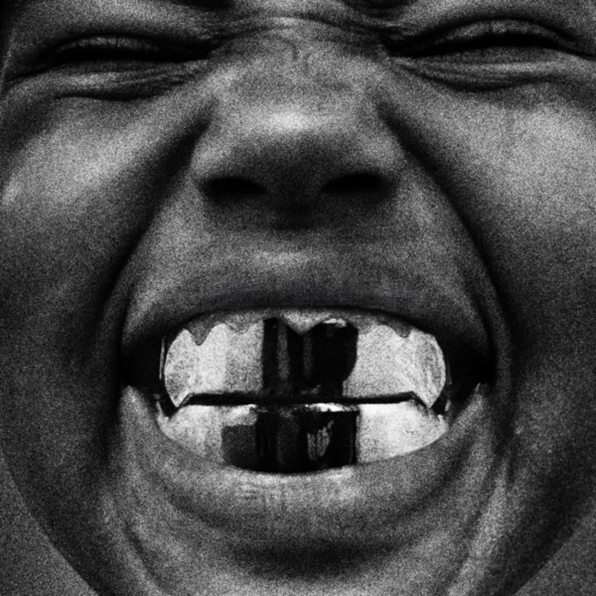Bully cover